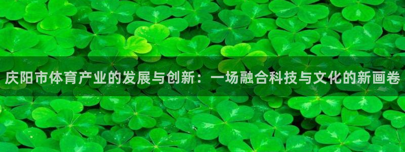 意昂体育4招商：庆阳市体育产业的发展与创新：一场融合