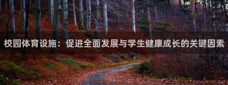 德国意昂4集团：校园体育设施：促进全面发展与学生健康