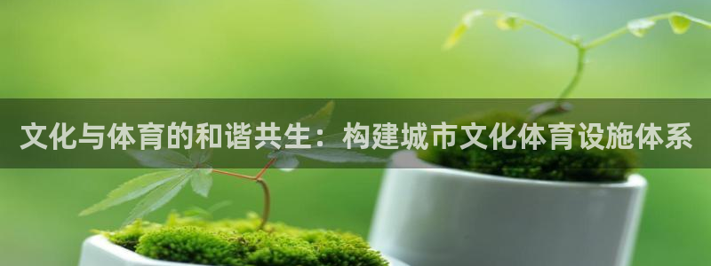 意昂4娱乐网站：文化与体育的和谐共生：构建城市文化体
