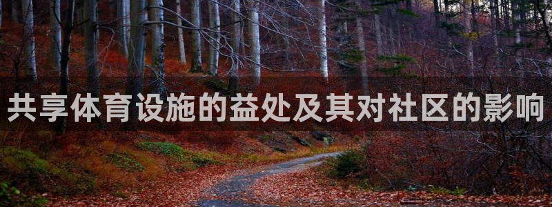 意昂4代理：共享体育设施的益处及其对社区的影响