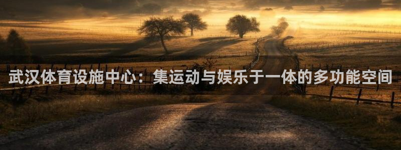 意昂4集团logo：武汉体育设施中心：集运动与娱乐于