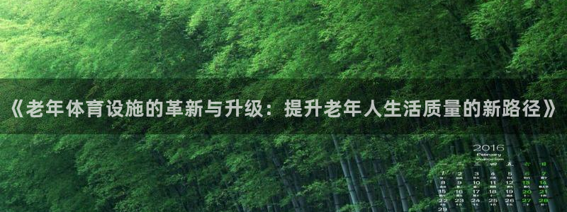 意昂体育4平台APP：《老年体育设施的革新与升级：提
