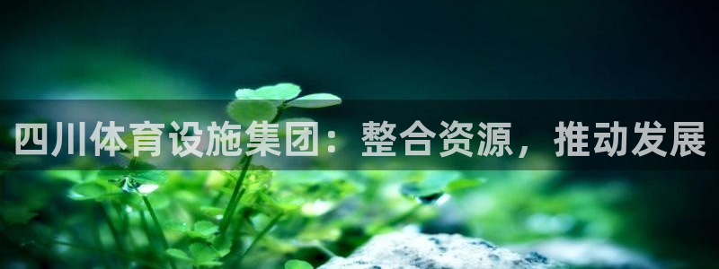 意昂体育4开户