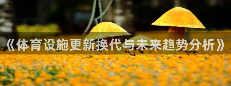 意昂体育4平台假的吗是真的吗：《体育设施更新换代与未