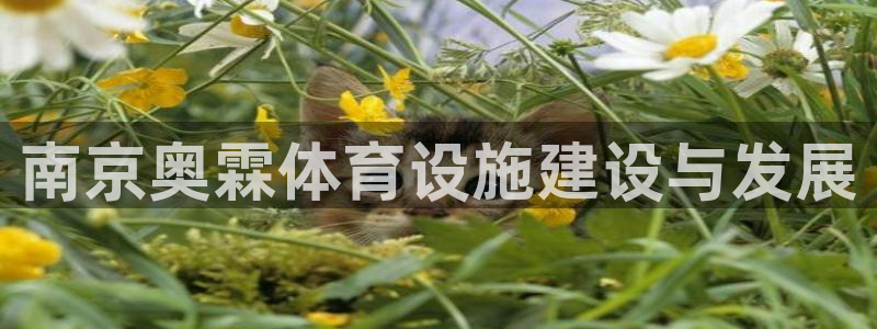 意昂4娱乐代理怎么样：南京奥霖体育设施建设与发展