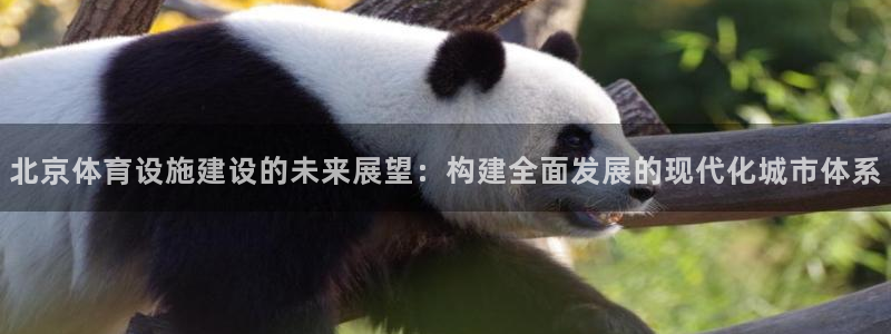 意昂4代理：北京体育设施建设的未来展望：构建全面发展
