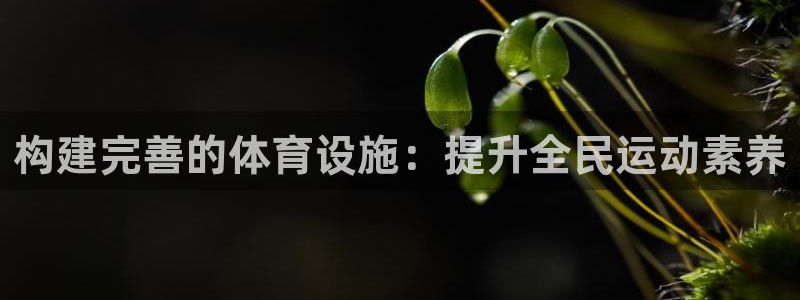 意昂体育4平台注册要钱吗：构建完善的体育设施：提升全