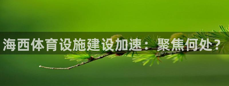 意昂4娱乐40996：海西体育设施建设加速：聚焦何处