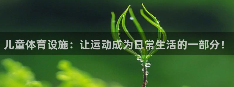 意昂体育4软件：儿童体育设施：让运动成为日常生活的一