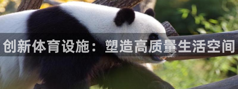 意昂体育4招商电话地址是多少：创新体育设施：塑造高质