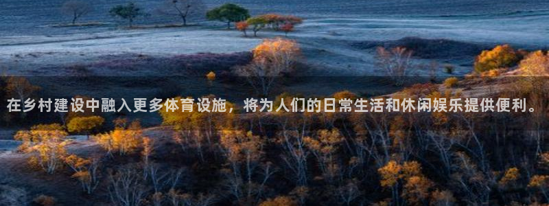 意昂4新能源：在乡村建设中融入更多体育设施，将为人们