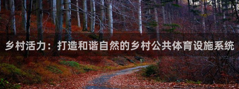 意昂体育4平台：乡村活力：打造和谐自然的乡村公共体育
