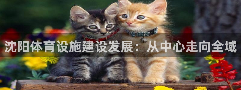 注册意昂4：沈阳体育设施建设发展：从中心走向全域