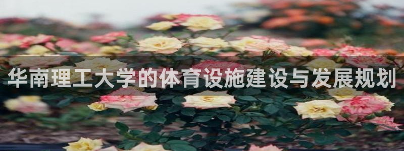 意昂体育4招商电话：华南理工大学的体育设施建设与发展