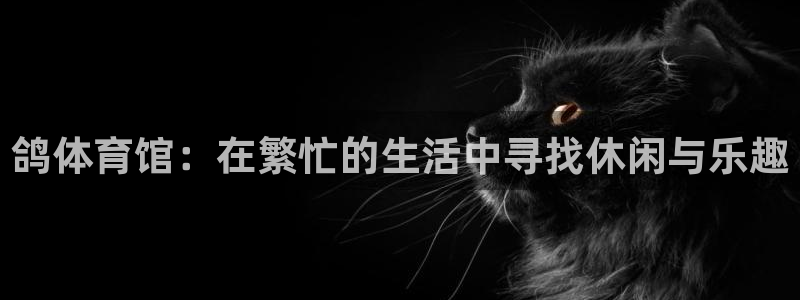 意昂体育4娱乐：鸽体育馆：在繁忙的生活中寻找休闲与乐