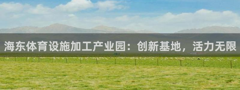 德国意昂4集团：海东体育设施加工产业园：创新基地，活