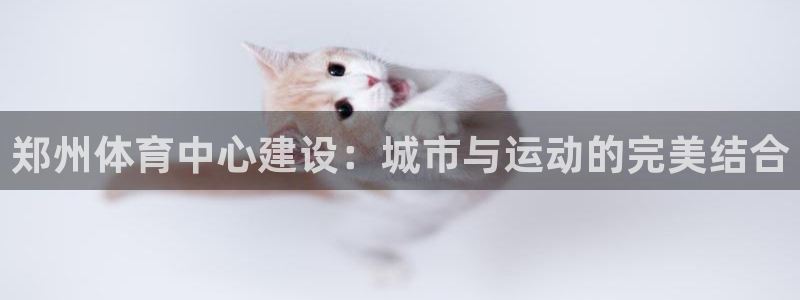 意昂4科技：郑州体育中心建设：城市与运动的完美结合