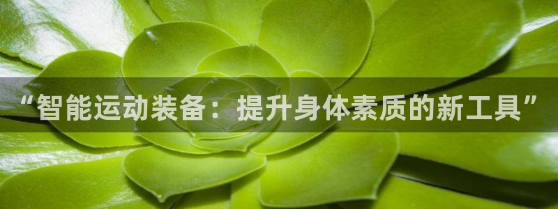 意昂体育4开户：“智能运动装备：提升身体素质的新工具