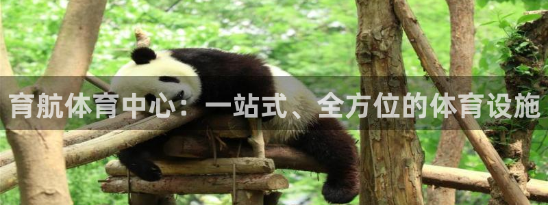 意昂体育4招商电话是多少号码：育航体育中心：一站式、