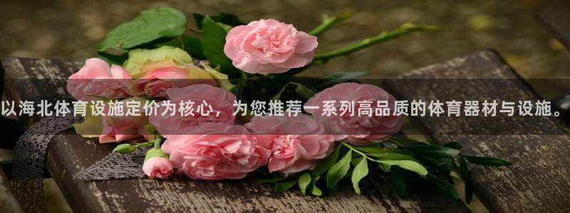 意昂4娱乐40996：以海北体育设施定价为核心，为您