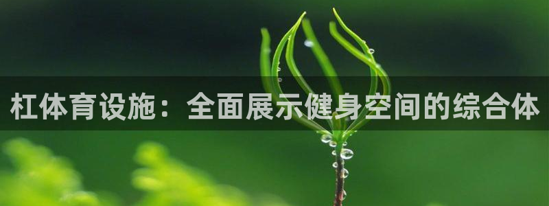 意昂体育4平台注册流程视频：杠体育设施：全面展示健身