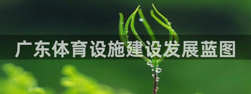 海南意昂体育4：广东体育设施建设发展蓝图
