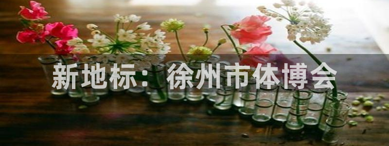 意昂4集团官网首页网址：新地标：徐州市体博会