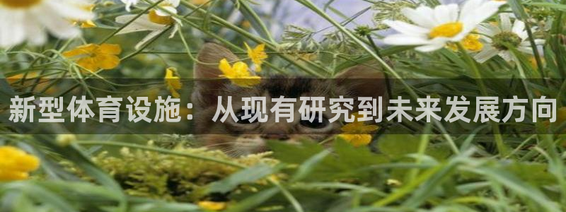 意昂4集团官网网址：新型体育设施：从现有研究到未来发展方向