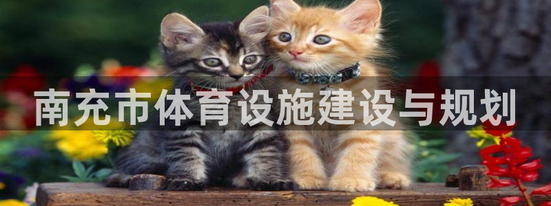 意昂体育4招商电话是多少号码：南充市体育设施建设与规划